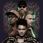 Irie Maffia 20
